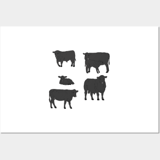 Angus Cattle Pack Posters and Art